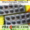 What Is Kamagra 100Mg Oral Jelly Used For 31